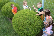 img_9928-kopiowanie-jpg1721239081